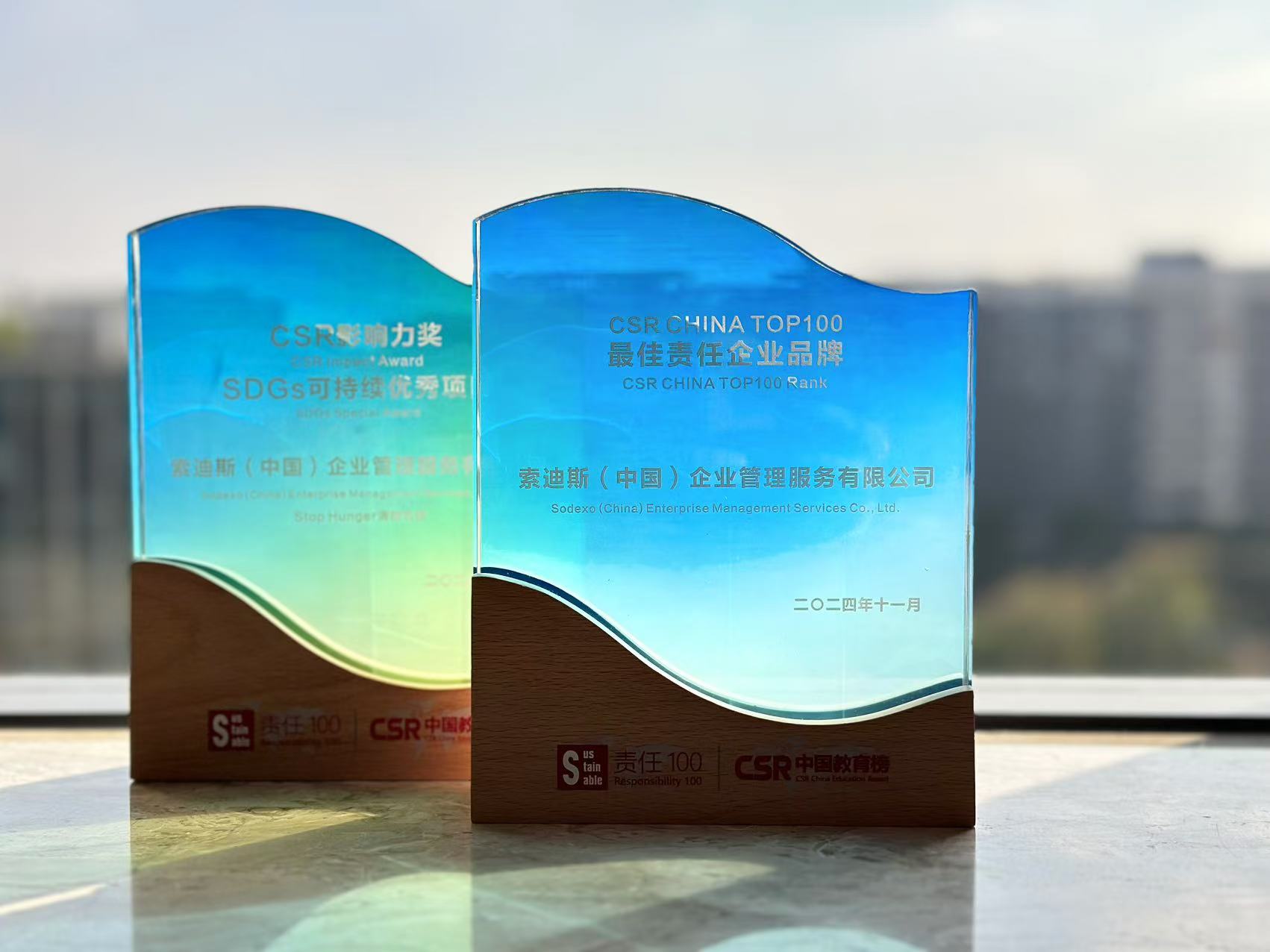 CSR Award trophy.jpg